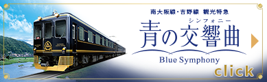 Sightseeing Limited Express Blue Symphony