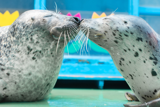 零距离水族馆 伊势海洋乐园