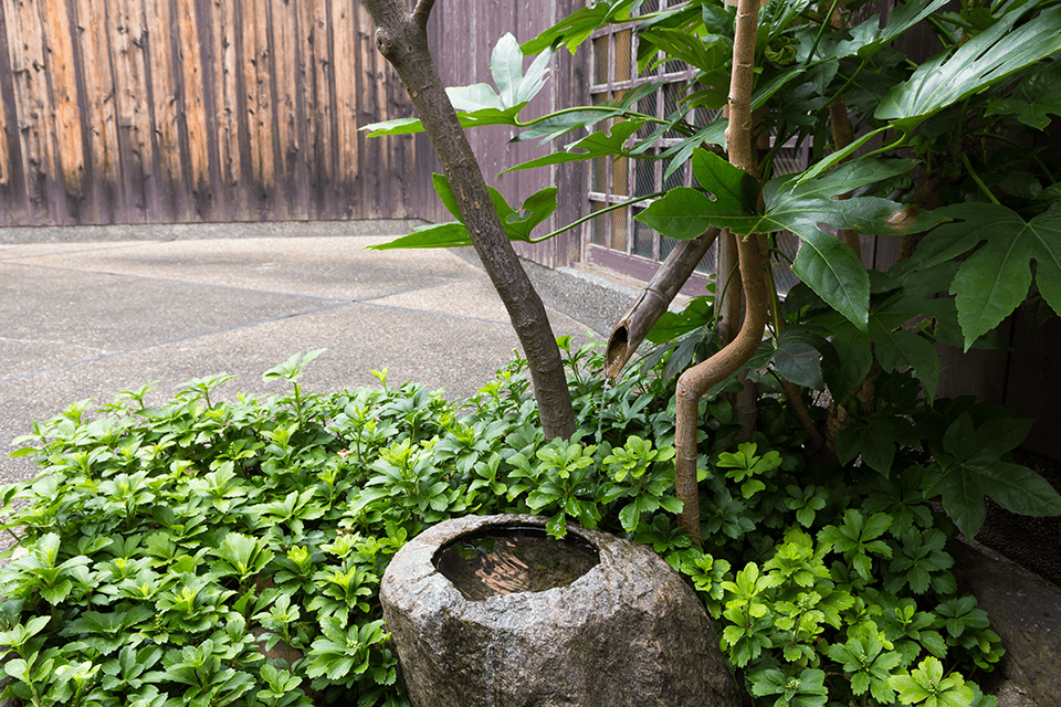 &copy;Kizakura kappa country.