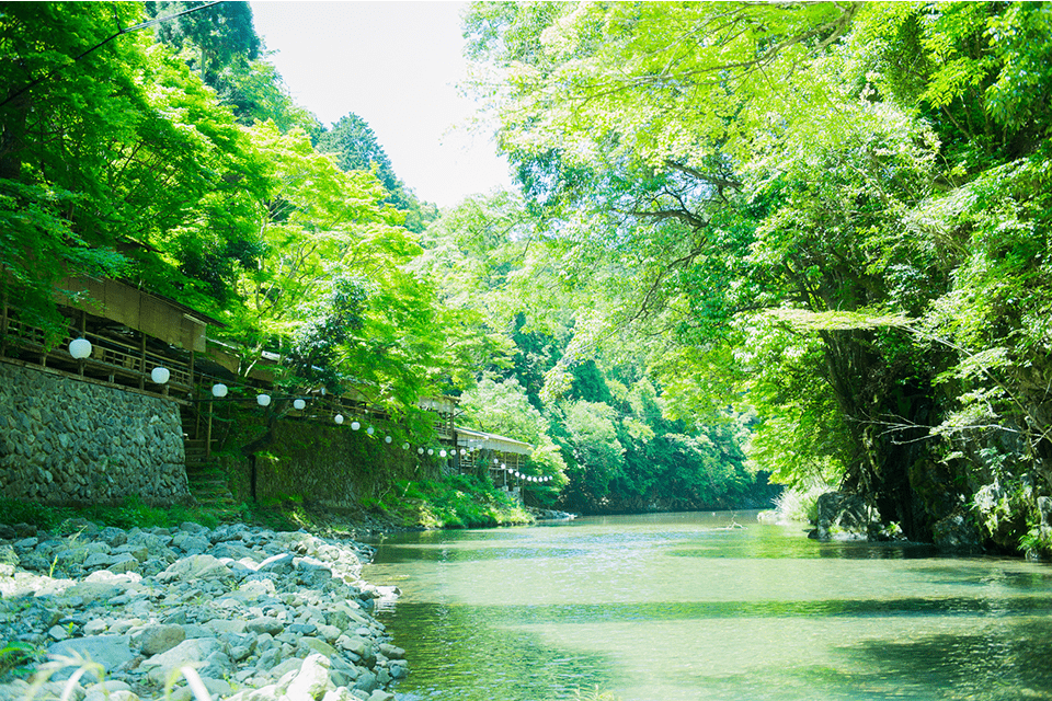 &copy;Kyoto Media Support Center