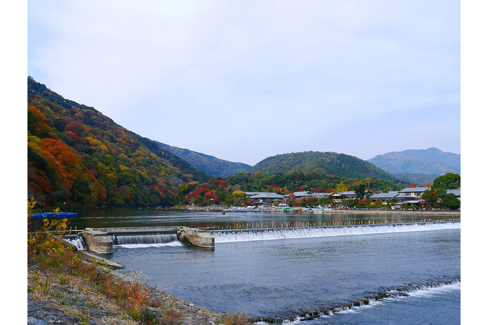 &copy;Kyoto Media Support Center