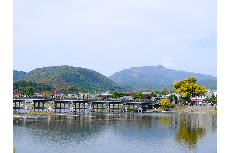 &copy;Kyoto Media Support Center