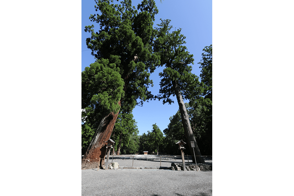 &copy;the Jingushicho.