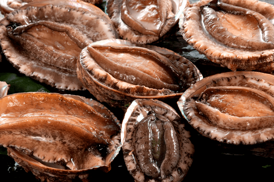 &copy;&rdquo;Visit ISESHIMA&rdquo; Bureau