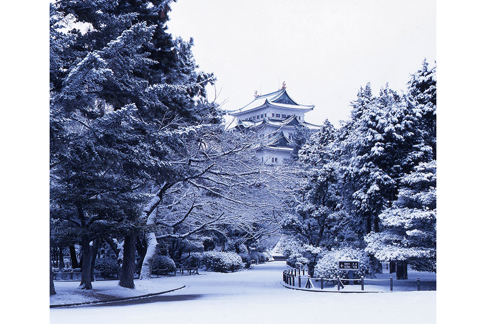 &copy;the Nagoya Castle Office.