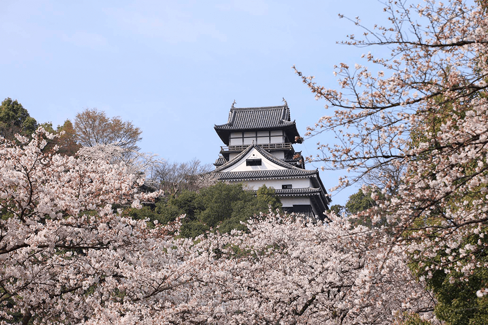 &copy;National Treasure Inuyama Castle.