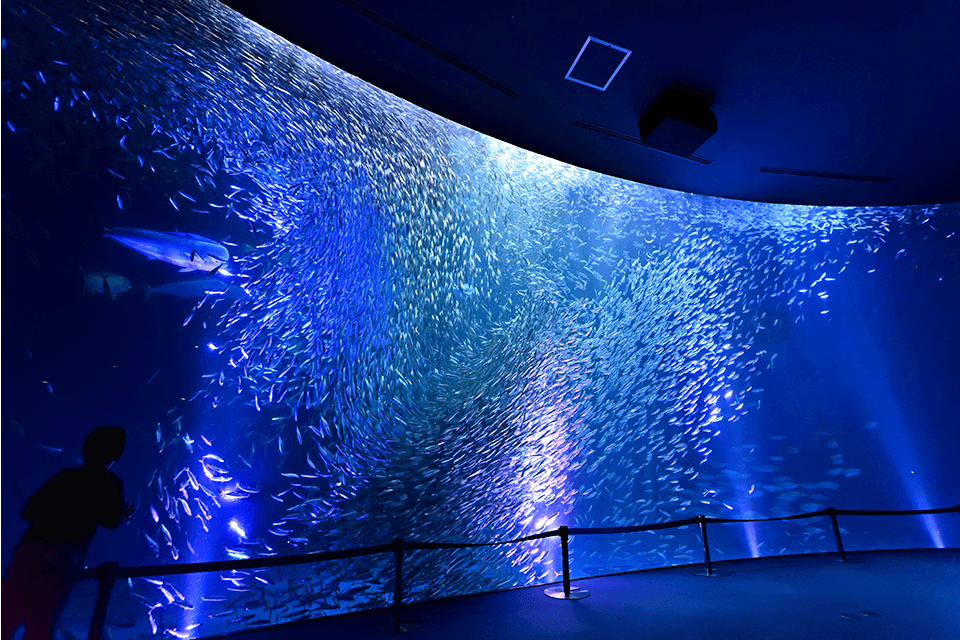 ©Port of Nagoya Public Aquarium