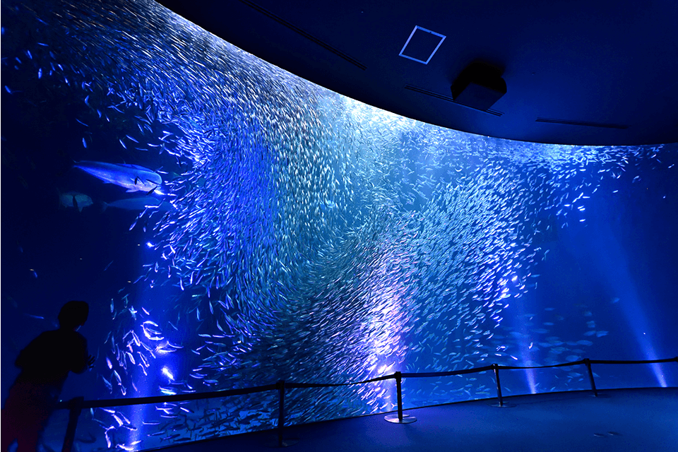 &copy;Port of Nagoya Public Aquarium