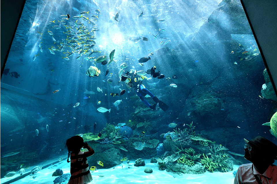 ©Port of Nagoya Public Aquarium