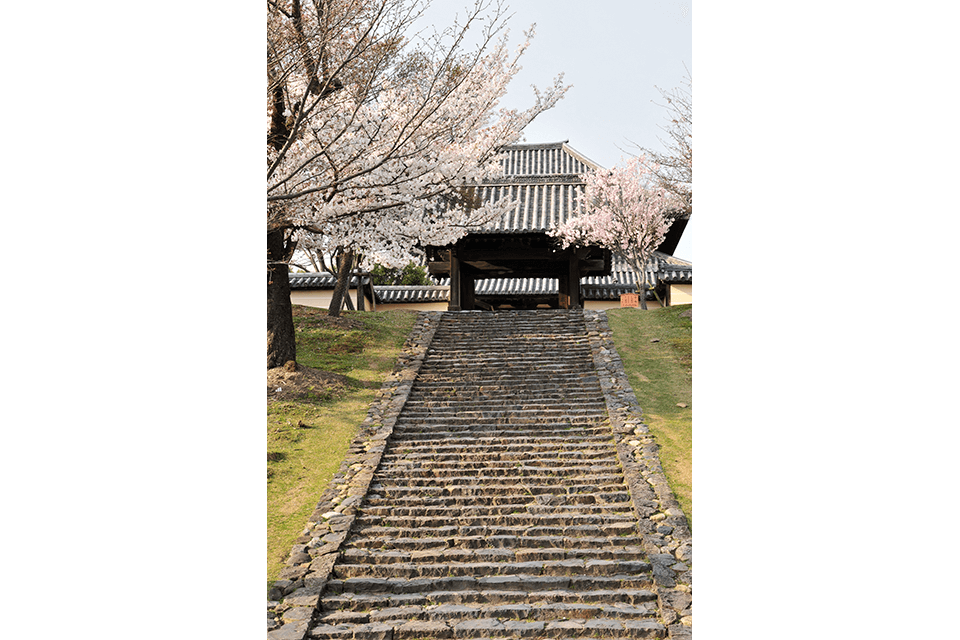 Photo by Nara City Tourism Association