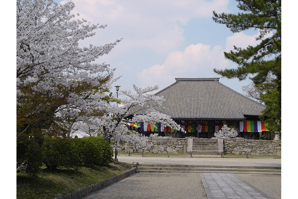 &copy;Nara Visitors Bureau