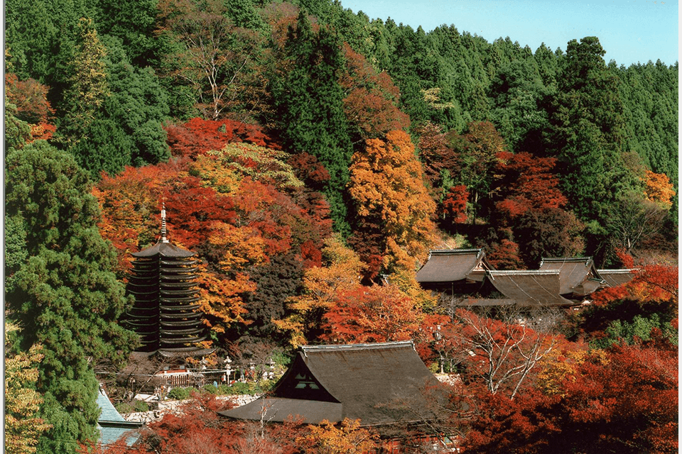 Tanzan-Jinja Shrine