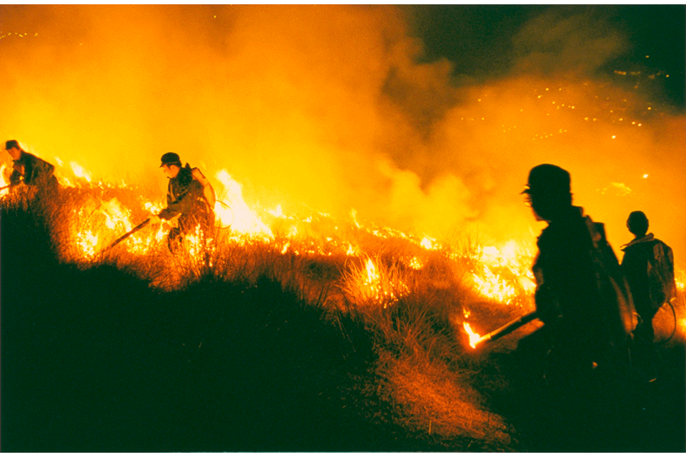 ©Nara Visitors Bureau