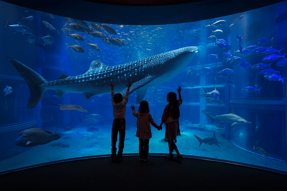 Osaka Aquarium Kaiyukan