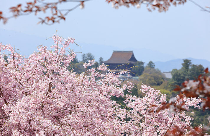 吉野、飛鳥地區