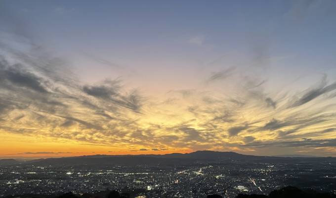 鹿（奈良公園、若草山）