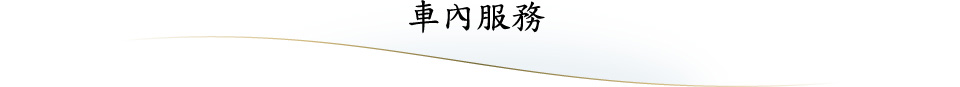 車內服務