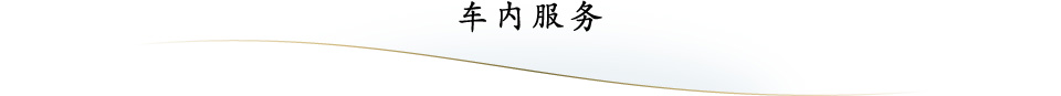 车内服务