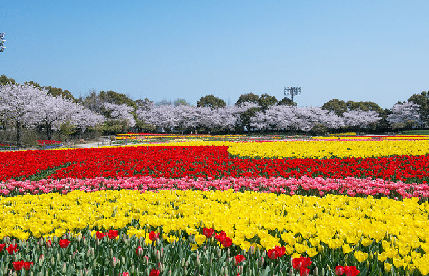 5DAYS From Nagoya To Mie(Ise-Shima) ~Amusement Course~