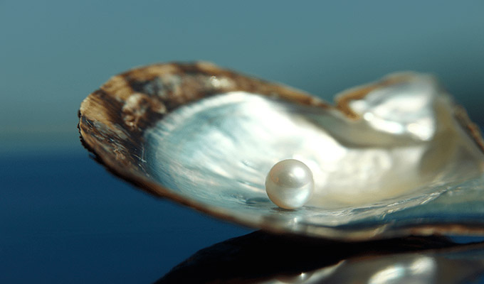 Mikimoto Pearl Island
