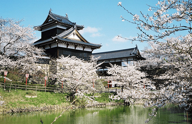 2DAYS Osaka/Nara/Kyoto ~Historical Course~