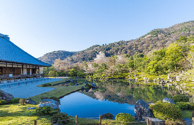 5DAYS Experience the Best of Areas Around Osaka Course