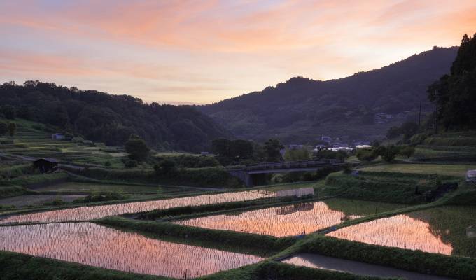 Hiking and cycling (terraced paddy fields in Asuka)