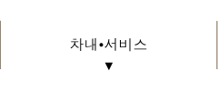 차내•서비스