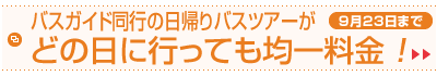 バスガイド同行の日帰りバスツアーがどの日に行っても均一料金！[9月23日まで]