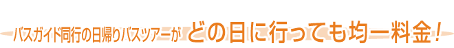 バスガイド同行の日帰りバスツアーが どの日に行っても均一料金！