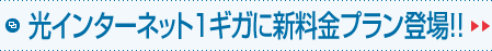 光インターネット１ギガに新料金プラン登場！！