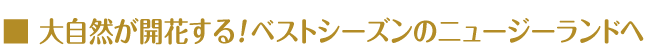 大自然が開花する！ベストシーズンのニュージーランドへ