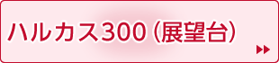 ハルカス300（展望台）