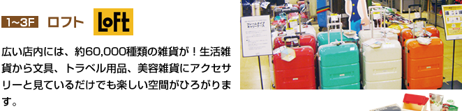 ロフト