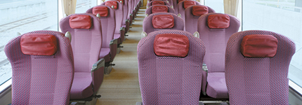 Deluxe seat