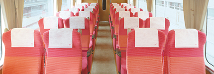 Standard seat