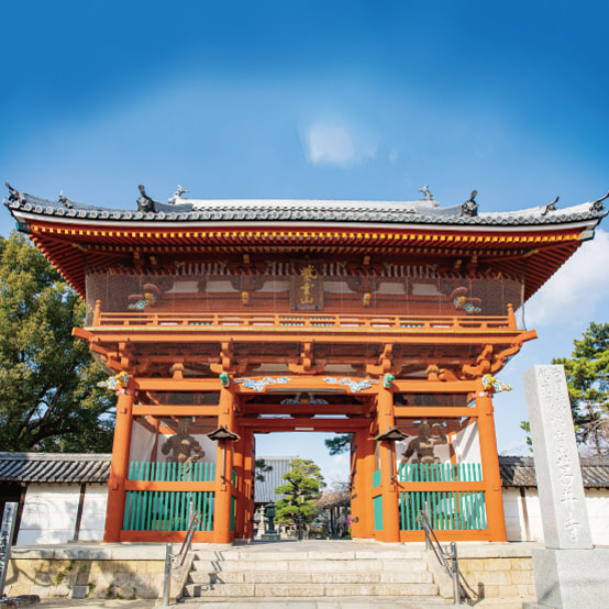 葛井寺（ふじいでら）の写真