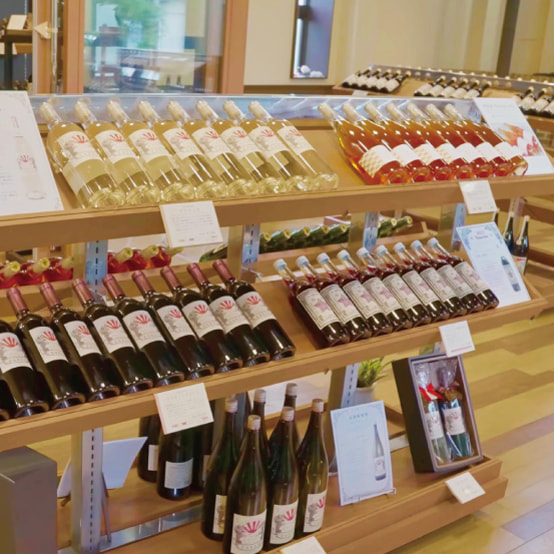 河内ワインの写真