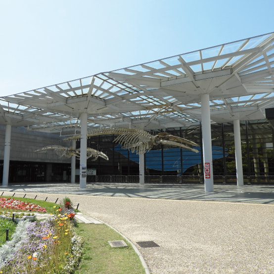 大阪市立自然史博物館の写真