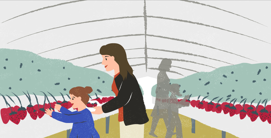 新鮮な野菜や果物が豊富なイメージイラスト