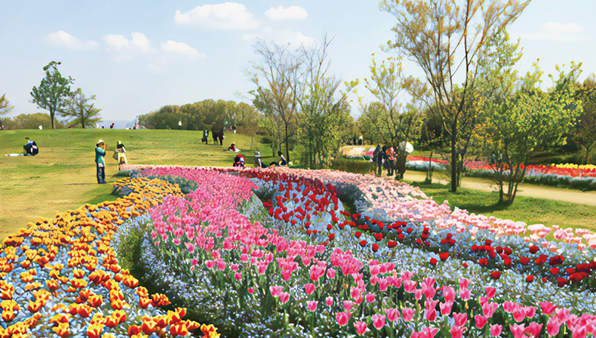 馬見丘陵公園でサイクリングを楽しむ写真