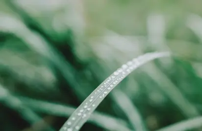 吉野川の開削跡