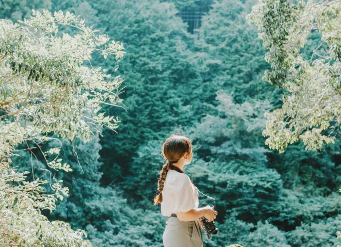 浄見原神社の風景