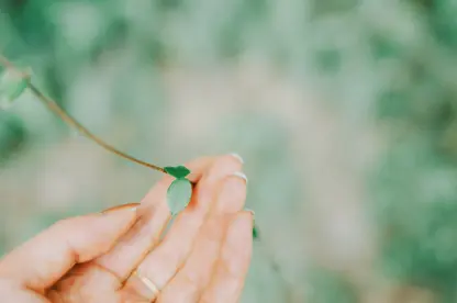 浄見原神社の風景