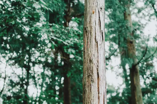奈良・吉野の旅で撮影した写真