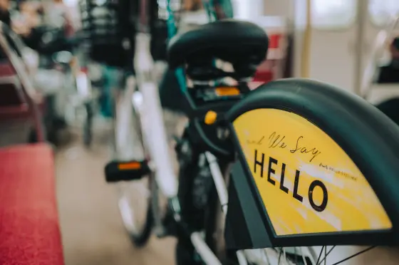 伊勢 鳥羽 志摩の旅で撮影した写真