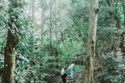 伊勢 鳥羽 志摩の旅で撮影した写真