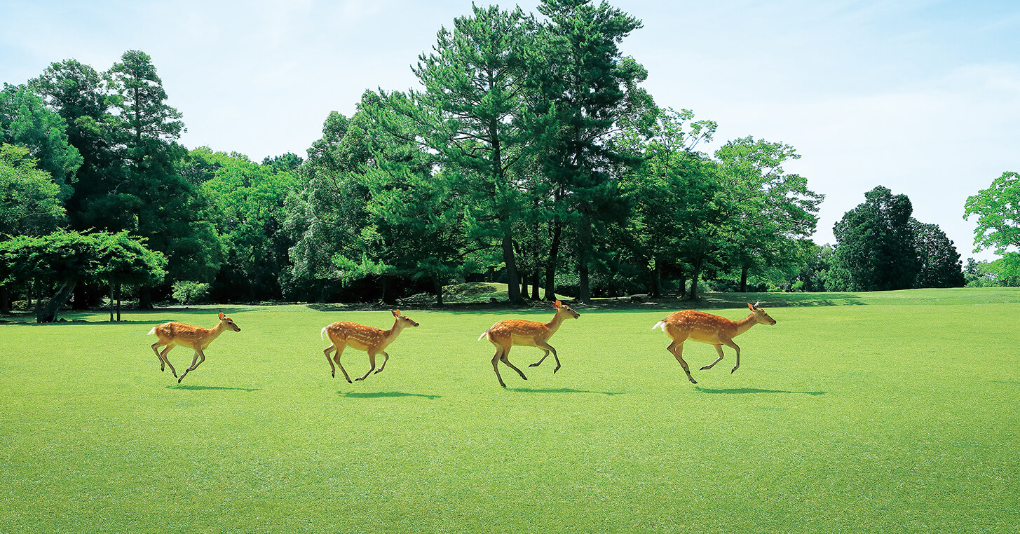 わたしは 奈良派 近畿日本鉄道