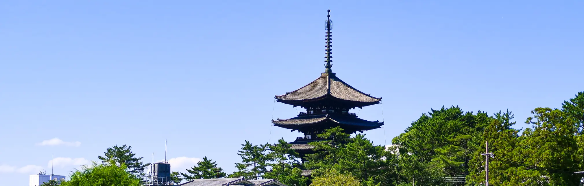 奈良世界遺産デジタルフリーきっぷ [奈良･斑鳩(1日･2日)コース]のイメージ写真