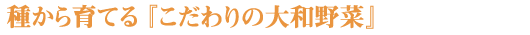 種から育てるこだわりの大和野菜